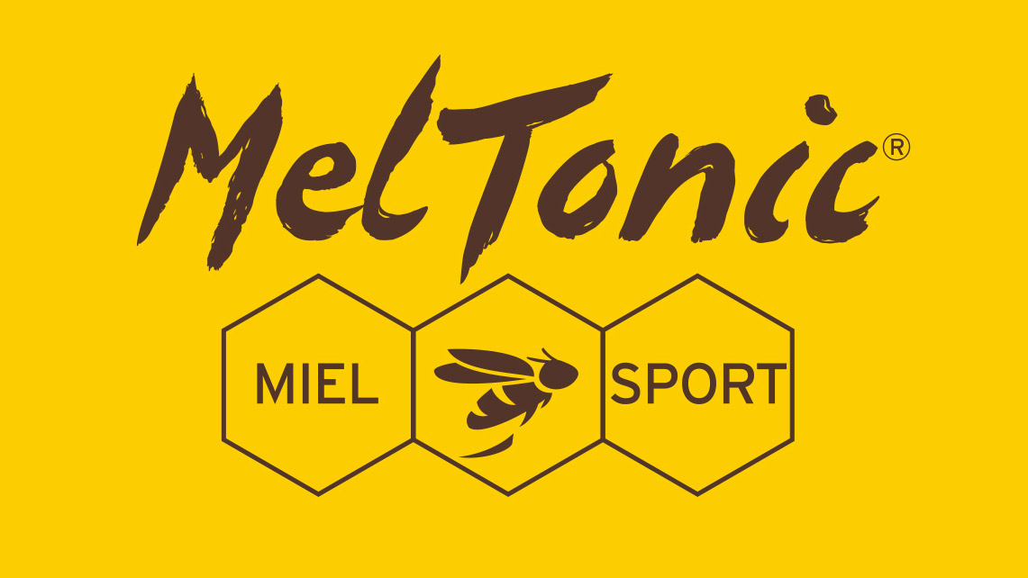 Meltonic logo